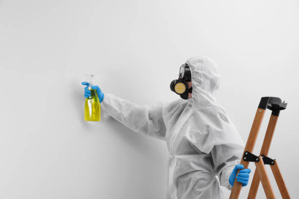 Professional Mold Inspection in Como, WI